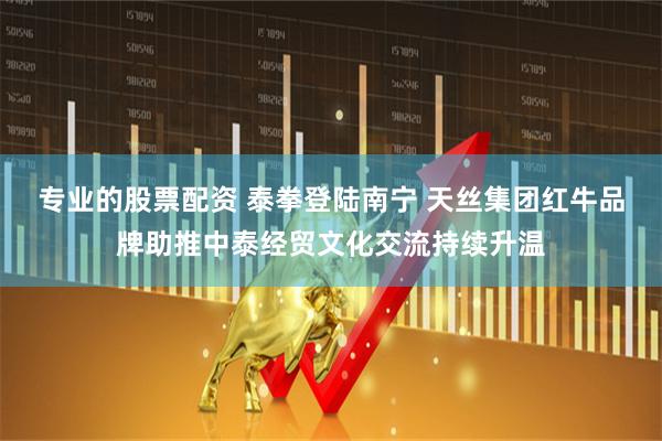 专业的股票配资 泰拳登陆南宁 天丝集团红牛品牌助推中泰经贸文化交流持续升温